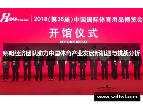 姚明经济团队助力中国体育产业发展新机遇与挑战分析