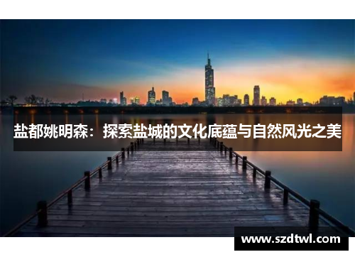 盐都姚明森：探索盐城的文化底蕴与自然风光之美